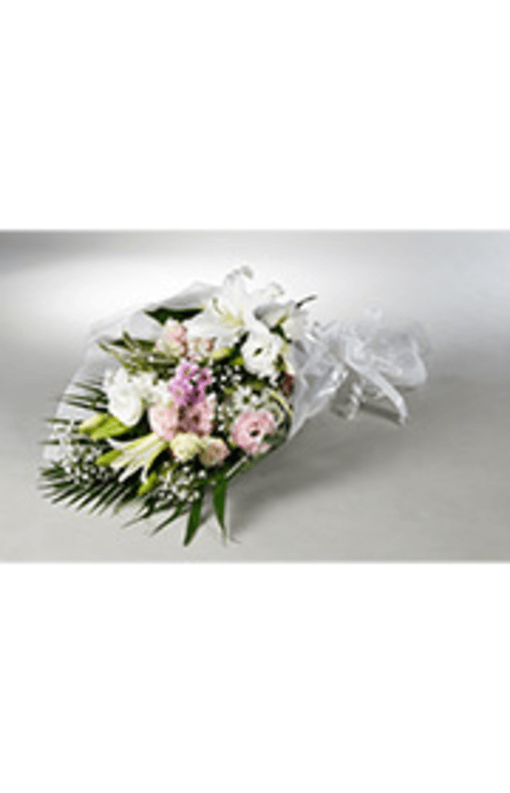 FT-K60 天花 ウィズ<供>